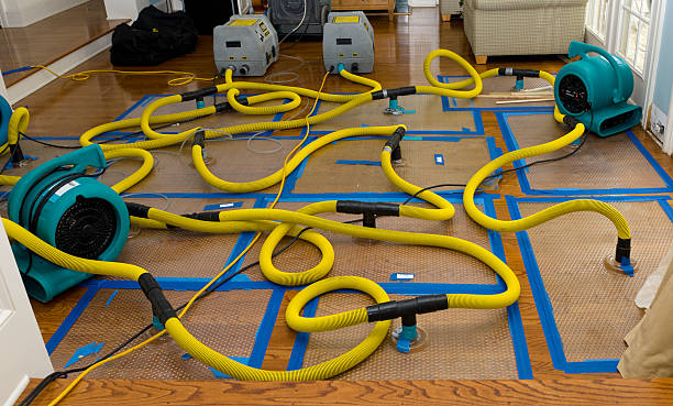 Professional Crawl Space Water Removal technician working in Hartsel, CO